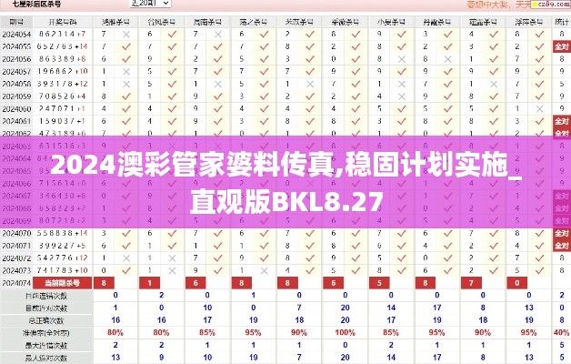 2024澳彩管家婆料传真,稳固计划实施_直观版BKL8.27