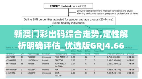 新澳门彩出码综合走势,定性解析明确评估_优选版GRJ4.66