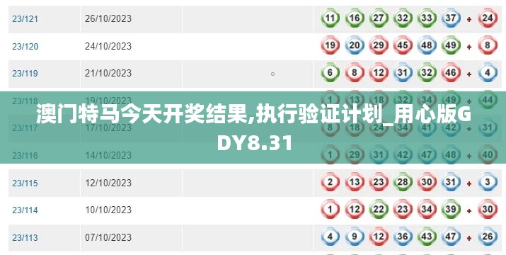 澳门特马今天开奖结果,执行验证计划_用心版GDY8.31