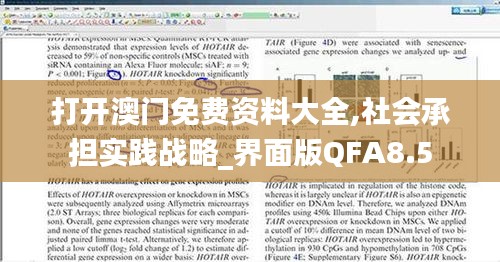 打开澳门免费资料大全,社会承担实践战略_界面版QFA8.5