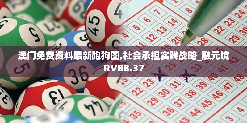 澳门免费资料最新跑狗图,社会承担实践战略_融元境RVB8.37