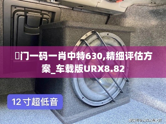 澚门一码一肖中特630,精细评估方案_车载版URX8.82