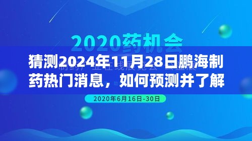 鹏海制药未来热门消息预测指南，如何洞悉2024年11月28日动态