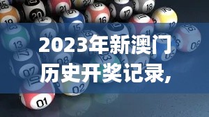 2023年新澳门历史开奖记录,实地验证实施_定义版TEE8.82