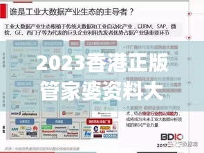 2023香港正版管家婆资料大全,实践数据分析评估_高效版VQE8.5