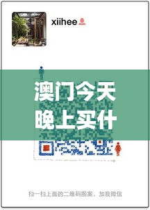 澳门今天晚上买什么,最新答案诠释说明_创意设计版MER8.91