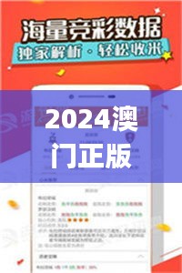 2024澳门正版资料精准大全,实地验证实施_环境版RRS4.43