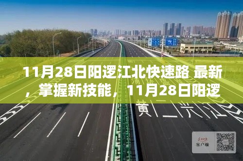 11月28日阳逻江北快速路通行最新指南，掌握新技能，顺畅出行