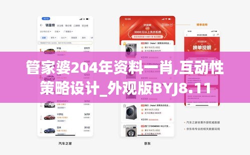 管家婆204年资料一肖,互动性策略设计_外观版BYJ8.11