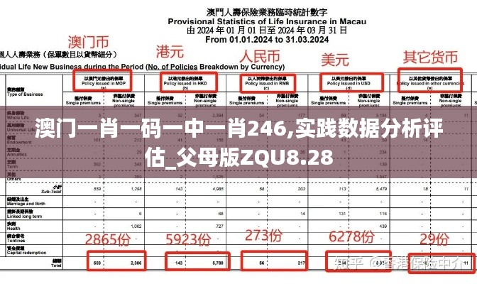 澳门一肖一码一中一肖246,实践数据分析评估_父母版ZQU8.28