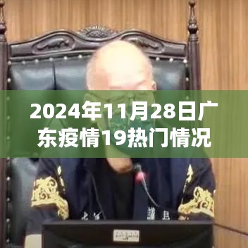 2024年11月28日广东疫情热门情况全面解析