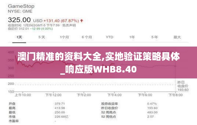 澳门精准的资料大全,实地验证策略具体_响应版WHB8.40