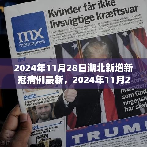 湖北新增新冠病例动态更新，最新报告揭示截至2024年11月28日的最新数据