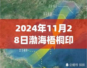 渤海梧桐印象深处的隐秘宝藏揭秘，特色小店新发现（2024年11月28日最新消息）