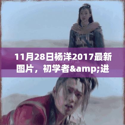 杨洋最新图片指南，初学者与进阶用户如何获取并欣赏杨洋2017年11月28日最新照片的全面技巧