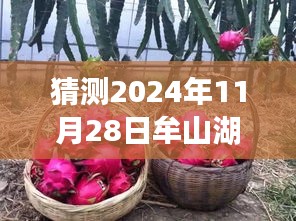 揭秘牟山湖开发新动向，预测牟山湖在2024年11月28日的崭新篇章与最新动态