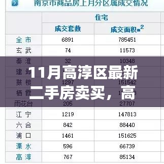 11月高淳区最新二手房卖买，高淳区最新二手房买卖全流程指南（初学者&进阶用户版）