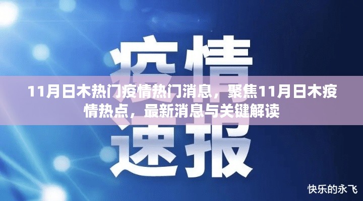 11月日木疫情热点解析，最新消息与关键解读