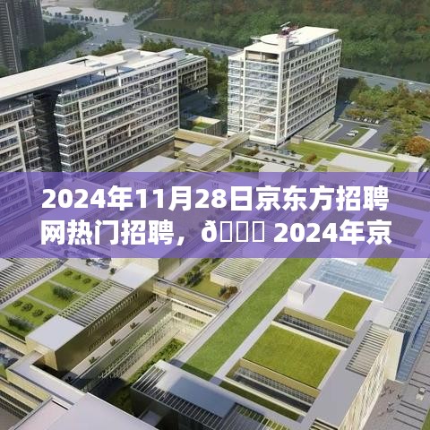 🌟 2024年京东方招聘网热门职位揭秘，抓住职业机遇，开启新篇章！