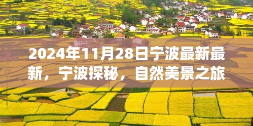 宁波探秘之旅，自然美景的心灵觉醒之旅（2024年11月28日最新资讯）