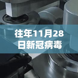 往年11月28日新冠病毒热门动态深度解析，全国全面理解与行动指南