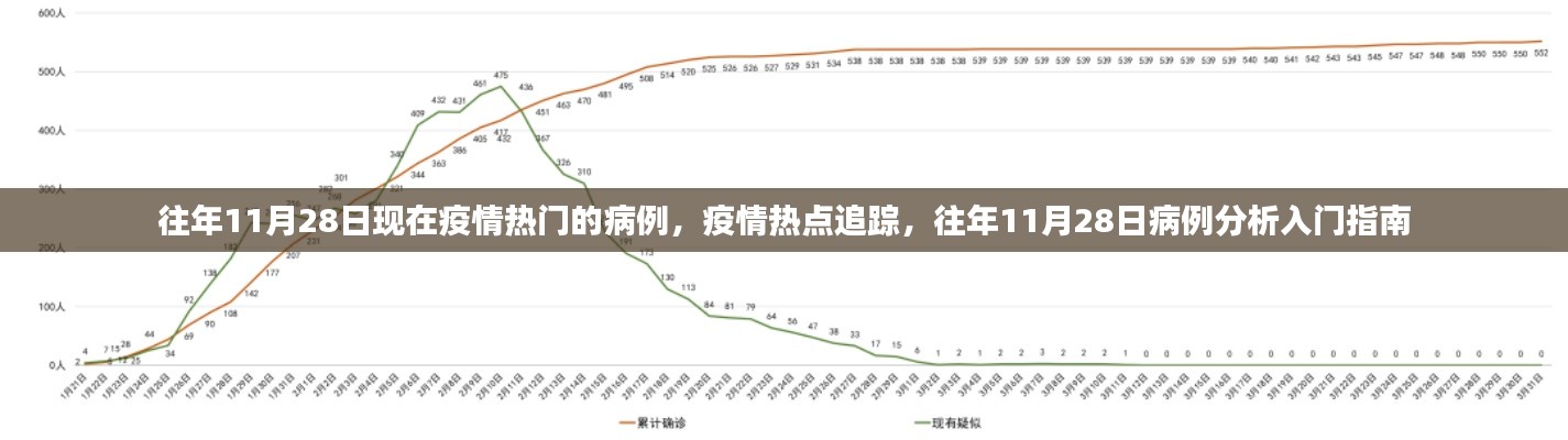 往年11月28日疫情热点病例追踪与分析入门指南