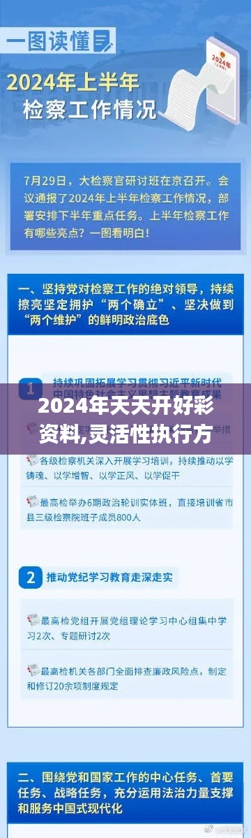 2024年天天开好彩资料,灵活性执行方案_图形版WJP92.429