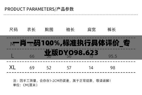 一肖一码100%,标准执行具体评价_专业版DYO98.623