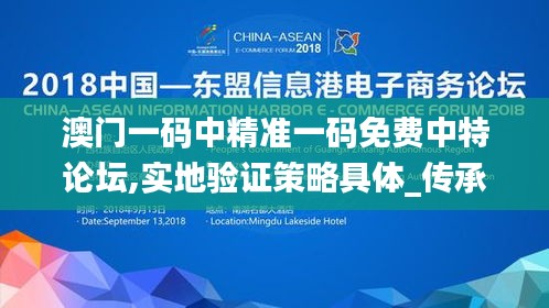 澳门一码中精准一码免费中特论坛,实地验证策略具体_传承版GNI52.956