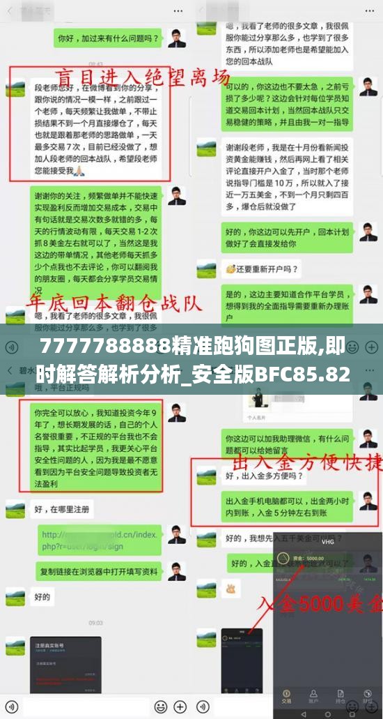 7777788888精准跑狗图正版,即时解答解析分析_安全版BFC85.824