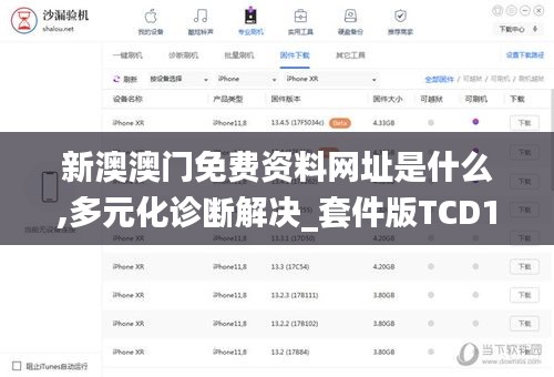 新澳澳门免费资料网址是什么,多元化诊断解决_套件版TCD12.770