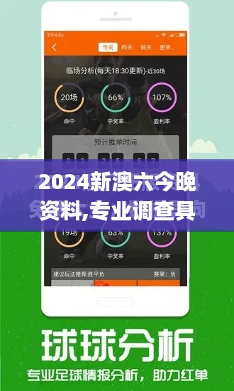 2024新澳六今晚资料,专业调查具体解析_启动版NDW58.249