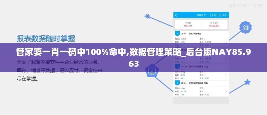 管家婆一肖一码中100%命中,数据管理策略_后台版NAY85.963