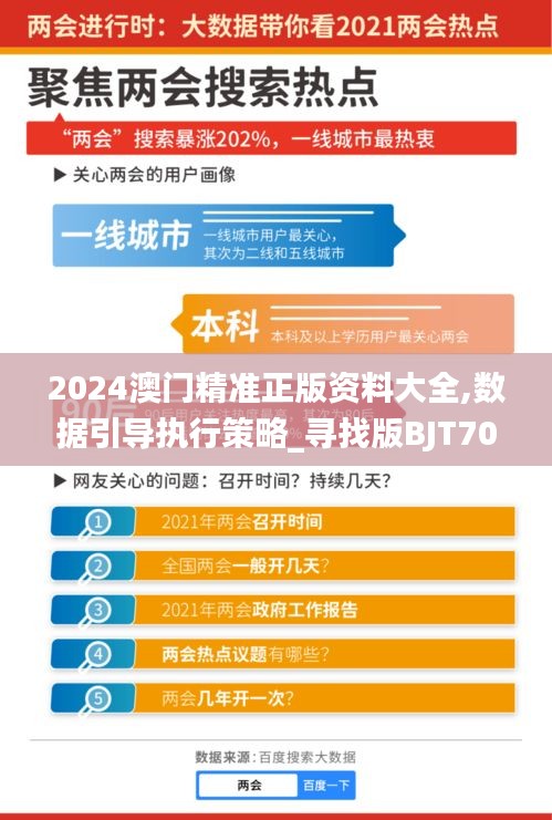 2024澳门精准正版资料大全,数据引导执行策略_寻找版BJT70.842