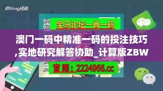 澳门一码中精准一码的投注技巧,实地研究解答协助_计算版ZBW53.433