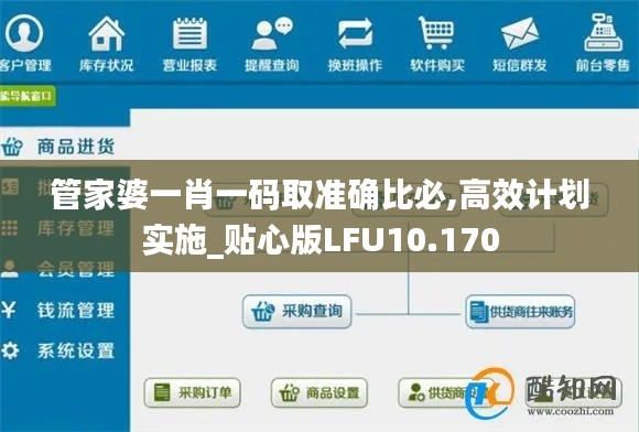 管家婆一肖一码取准确比必,高效计划实施_贴心版LFU10.170