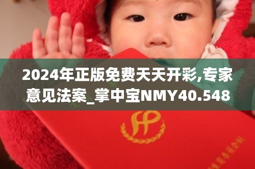 2024年正版免费天天开彩,专家意见法案_掌中宝NMY40.548