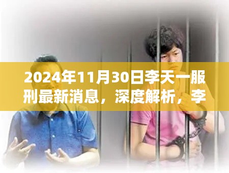 李天一服刑最新消息深度解析与评测报告（2024年11月版）