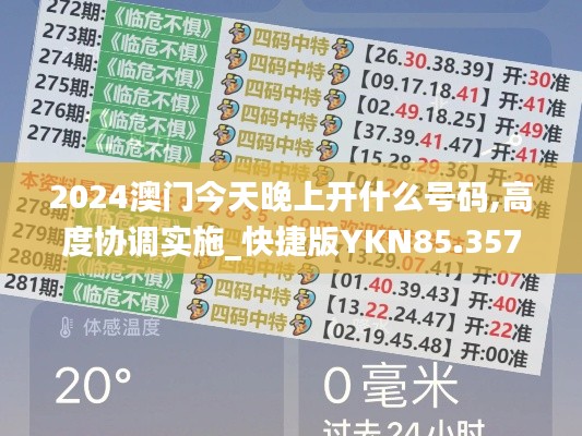 2024澳门今天晚上开什么号码,高度协调实施_快捷版YKN85.357