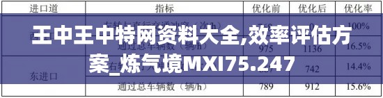 王中王中特网资料大全,效率评估方案_炼气境MXI75.247