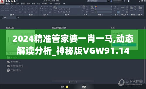 2024精准管家婆一肖一马,动态解读分析_神秘版VGW91.147