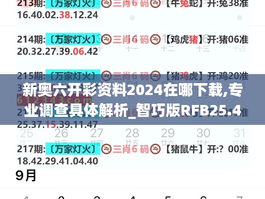 新奥六开彩资料2024在哪下载,专业调查具体解析_智巧版RFB25.495