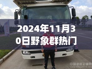 野象群现象持续引关注，2024年11月30日热点透视与观点碰撞