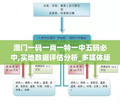 澳门一码一肖一特一中五码必中,实地数据评估分析_多媒体版AAG50.330