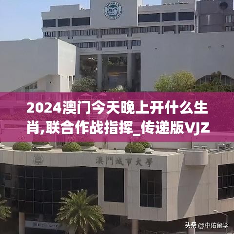 2024澳门今天晚上开什么生肖,联合作战指挥_传递版VJZ85.580