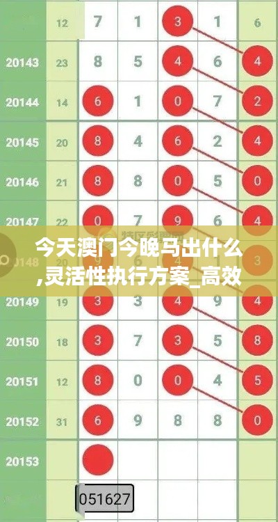 今天澳门今晚马出什么,灵活性执行方案_高效版ERL82.642