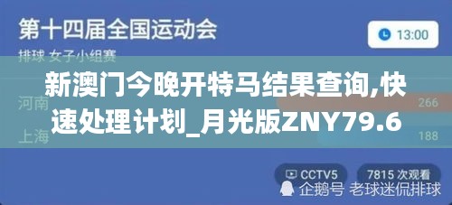 新澳门今晚开特马结果查询,快速处理计划_月光版ZNY79.668