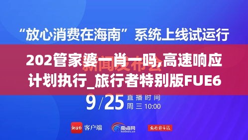 202管家婆一肖一吗,高速响应计划执行_旅行者特别版FUE67.688