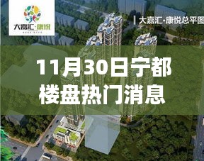 宁都楼盘热议，聚焦11月30日楼市走向与观点分享