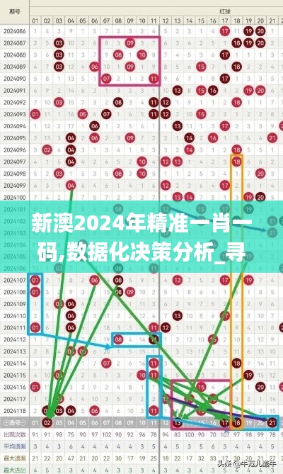 新澳2024年精准一肖一码,数据化决策分析_寻找版DYL2.321